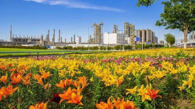广州增稠剂选型，如何规避常见误区？**